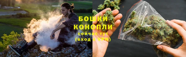 сатива Аркадак