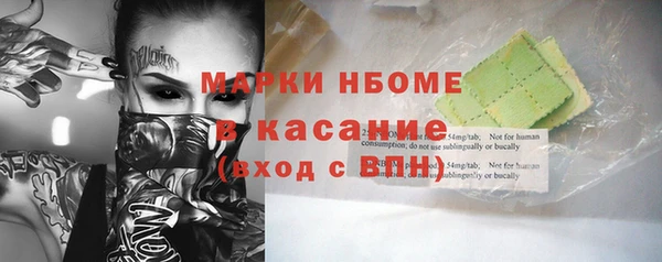сатива Аркадак