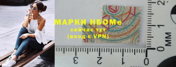 сатива Аркадак