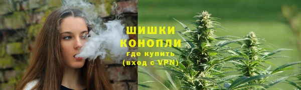 крисы Арсеньев