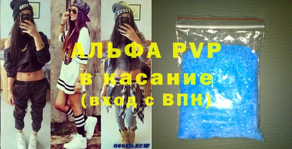 сатива Аркадак