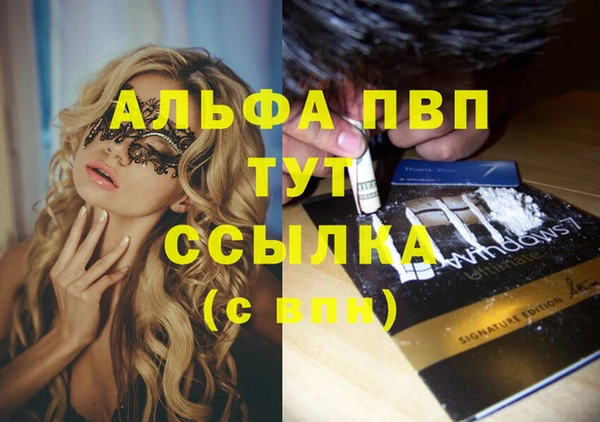 сатива Аркадак