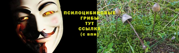 экстази Армянск